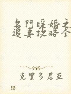 名门暖婚之权爷追妻攻略全文免费阅读