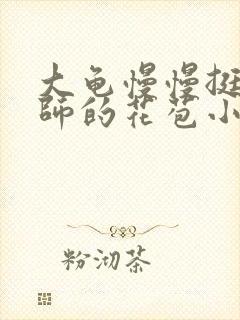 大龟慢慢挺进老师的花苞小说