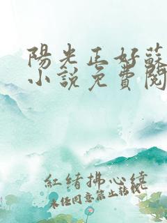 阳光正好苏玥玥小说免费阅读无弹窗