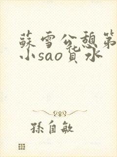 苏雪公憩第一章小sao货水