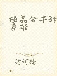 极品公子3续世枭雄