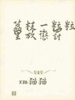 荔枝一粒粒的往里放惩罚