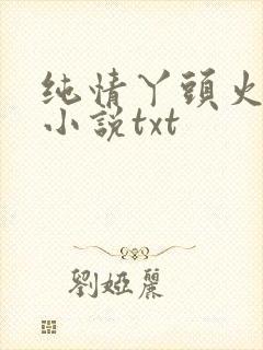 纯情丫头火辣辣小说txt