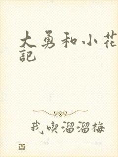 大勇和小花的日记