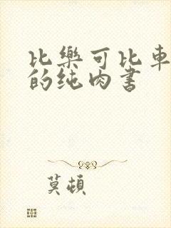 比乐可比车速快的纯肉书