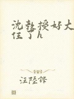 沈教授好大含不住了h