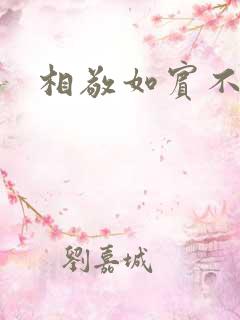 相敬如宾不相睹