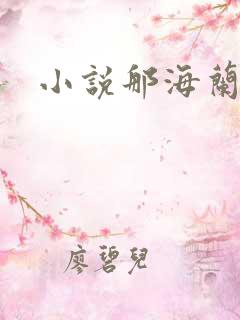小说那海兰珠