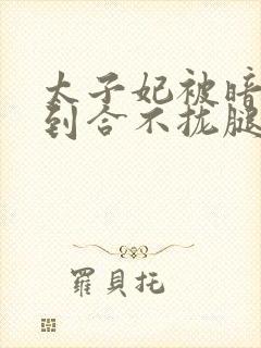 太子妃被暗卫c到合不拢腿