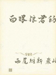 白眼狼君的小说