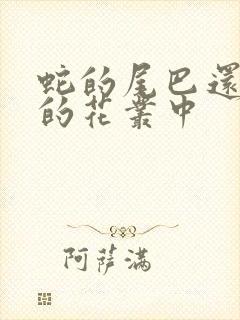 蛇的尾巴还在我的花丛中