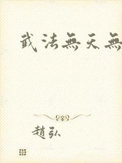 武法无天无弹窗