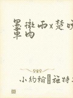 墨微雨x楚晚宁车肉