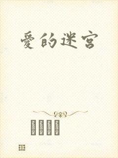 爱的迷宫