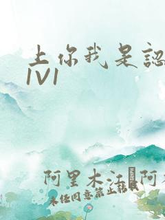 上你我是认真的1V1