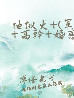 他似火+(军婚+高干+婚恋)