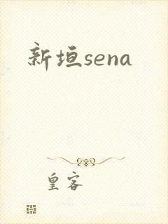 新垣sena