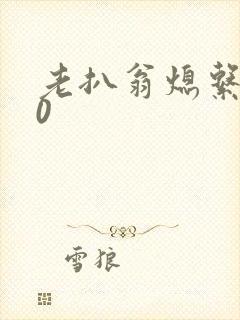 老扒翁熄系列40