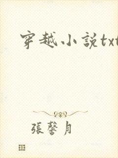 穿越小说txt