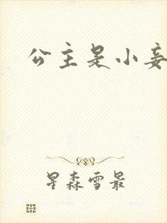 公主是小妾