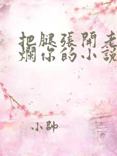 把腿张开老子臊烂你的小说