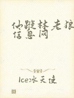 仙踪林老狼贰佰信息网