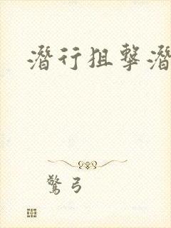 潜行狙击潜罪犯