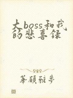 大boss和我的悲喜录