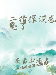 二指探洞感觉要飞了