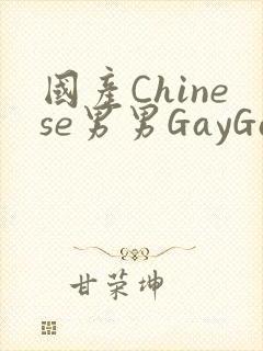 国产Chinese男男GayGayAPP