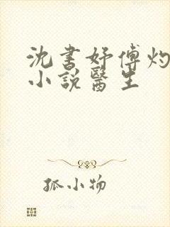 沈书妤傅灼抖音小说医生