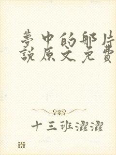 梦中的那片海小说原文免费阅读