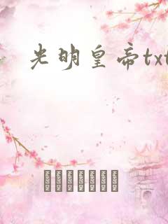 光明皇帝txt