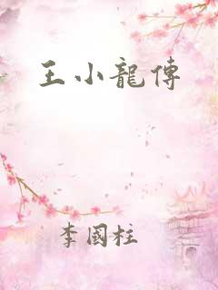 王小龙传
