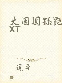 大团圆孙艳梅TXT