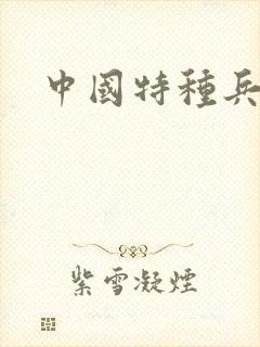 中国特种兵小说