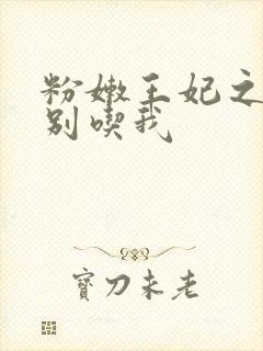 粉嫩王妃之殿下别吃我