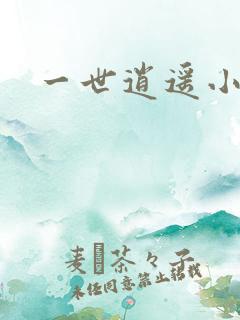 一世逍遥小说