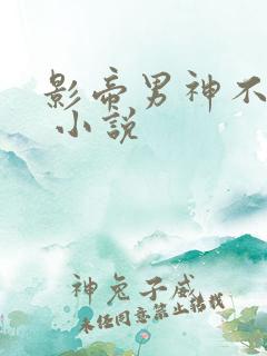 影帝男神不节制 小说