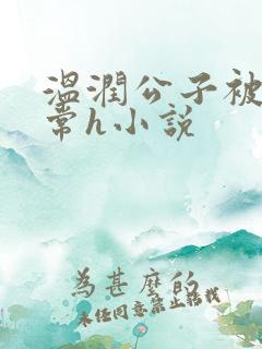 温润公子被脔日常h小说