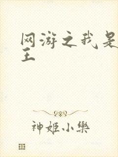 网游之我是海贼王