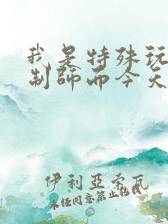 我是特殊玩具定制师而今天的客户