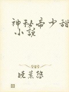 神秘帝少甜宠妻 小说