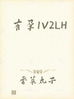有孕1V2LH