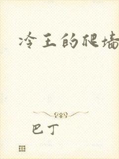 冷王的爬墙丑妃
