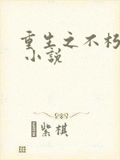 重生之不朽传奇 小说
