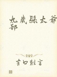 九岁县太爷第二部