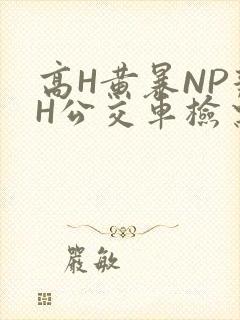 高H黄暴NP辣H公交车检票员
