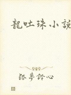 龙吐珠小说