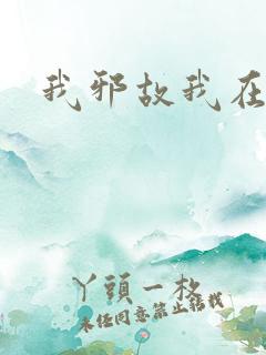 我邪故我在